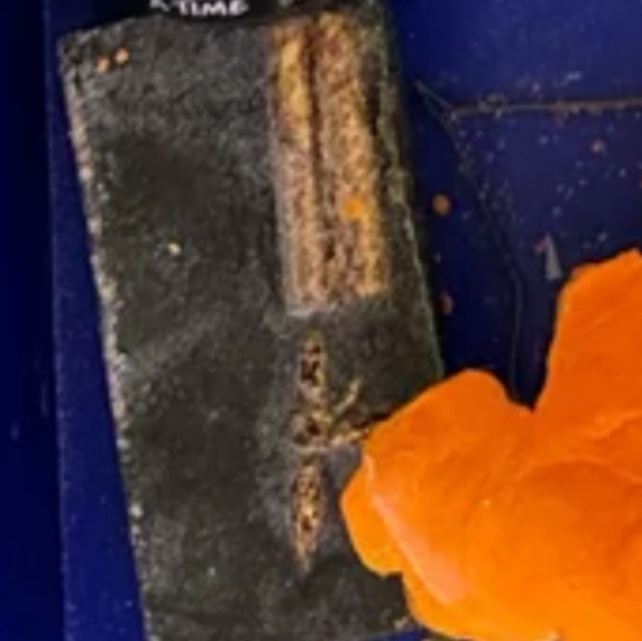 🌟LUSH Bob Holiday 2023 DISCONTINUED Soap NWT - Picture 5 of 7